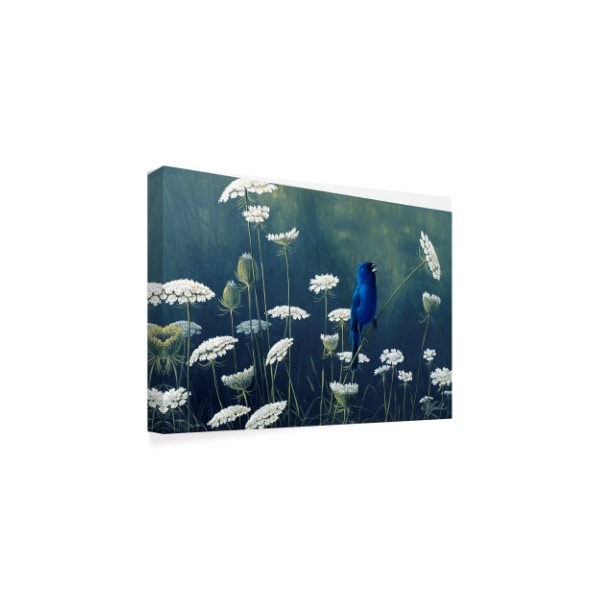 Wilhelm Goebel 'Indigo And Lace Indigo Bunting' Canvas Art,30x47